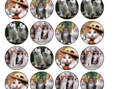 Kittens Tiger White and Orange Hats Edible Cupcake Topper Images ABPID03233 For Sale