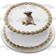 Dogs Pug Puppy Edible Cake Topper Image ABPID01439 Online now