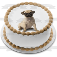 Dogs Pug Puppy Edible Cake Topper Image ABPID01439 Online now