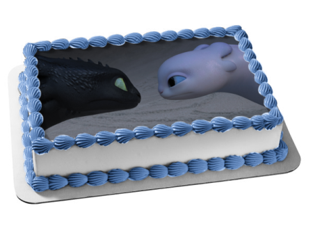 How to Train Your Dragon the Hidden World Toothless and Light Fury Edible Cake Topper Image ABPID00987 Discount