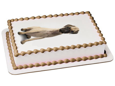 Dogs Pug Puppy Edible Cake Topper Image ABPID01439 Online now